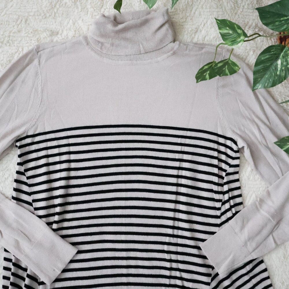 Striped Turtleneck Top